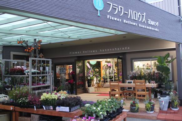 「フラワーハロウズ花のハラダ」　（山口県防府市）の花屋店舗写真1